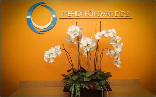 orthodontists